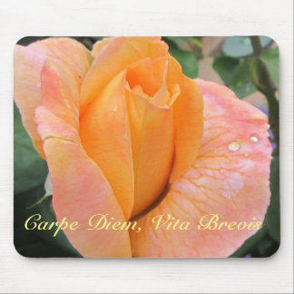 Mousepad--Orange Rose With Raindrops Muismat