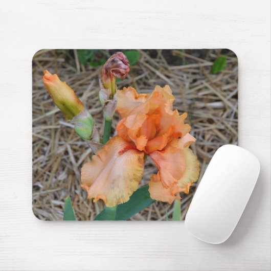 Mousepad - Oranje Iris Muismat (Met muis)