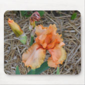 Mousepad - Oranje Iris Muismat (Voorkant)