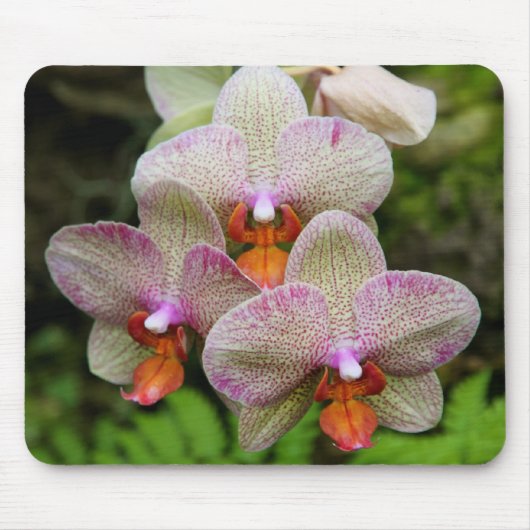 Mousepad - Orchid Muismat (Voorkant)