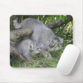Mousepad - Pallas's kat Muismat (Met muis)