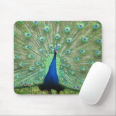 Mousepad - Peacock Muismat (Met muis)