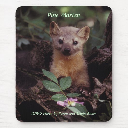 Mousepad/Pine Marten Muismat (Voorkant)
