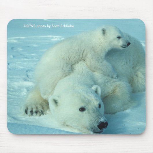 Mousepad / Polar Beer & Cub Muismat (Voorkant)