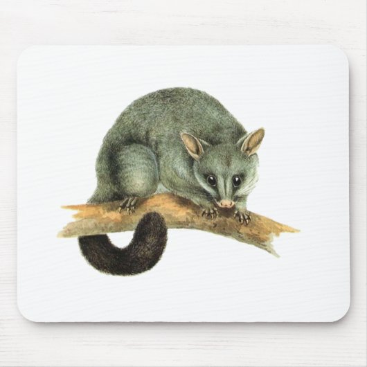 Mousepad - Possum Muismat (Voorkant)