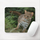 Mousepad - Rusty spotted cat Muismat (Met muis)