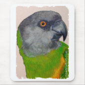 Mousepad - Senegal Parrot Muismat (Voorkant)