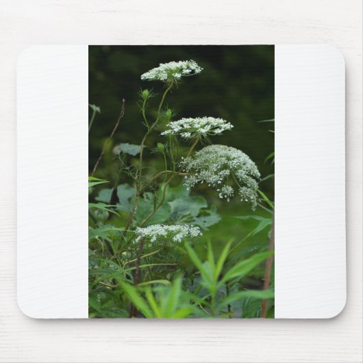 mousepad sjabloon muismat (Voorkant)