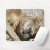 Mousepad Sleeping Kangaroo Foto Australië Muismat (Met muis)
