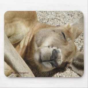 Mousepad Sleeping Kangaroo Foto Australië Muismat