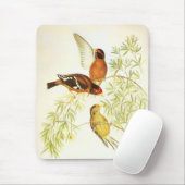 Mousepad  Spectacled Finch Birds Muismat (Met muis)