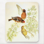 Mousepad  Spectacled Finch Birds Muismat (Voorkant)
