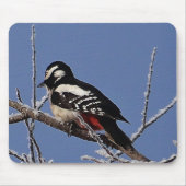Mousepad -spookpecker muismat (Voorkant)