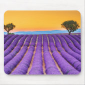 Mousepad Valensole - Provence Frankrijk Muismat (Voorkant)