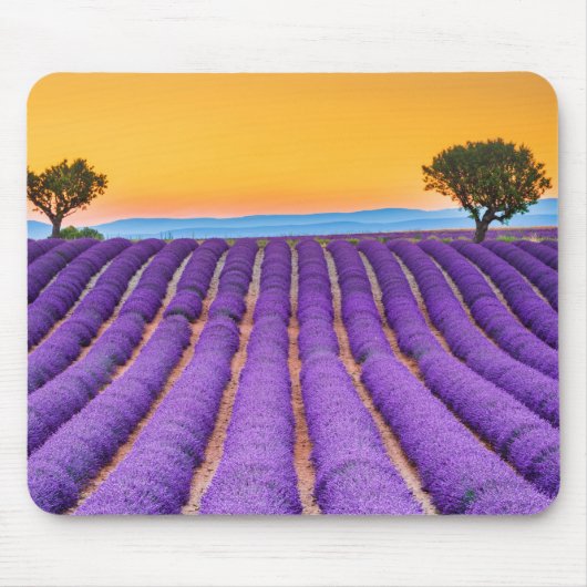 Mousepad Valensole - Provence Frankrijk Muismat (Voorkant)