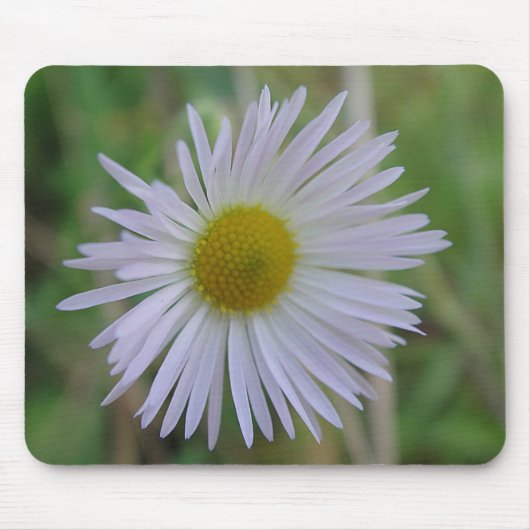 Mousepad weisse Wildblüte Muismat (Voorkant)
