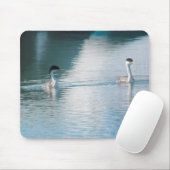 Mousepad - Westerne Grebe Muismat (Met muis)