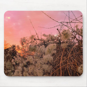 Mousepad Winter Sunset en Clematis wijnstokken Muismat