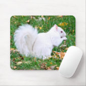 Mousepad - Witte eekhoorn Muismat (Met muis)
