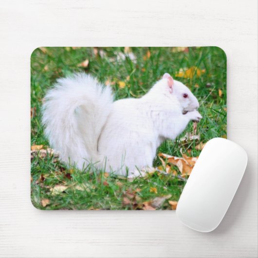 Mousepad - Witte eekhoorn Muismat (Met muis)