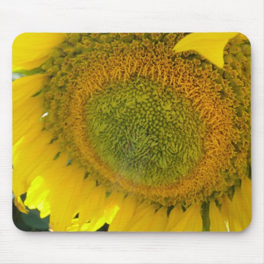 Mousepad: Zonnebloem Muismat (Voorkant)