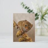 Mousie Briefkaart (Staand voorkant)