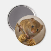 Mousie Magnet (Voorkant / Achterkant)