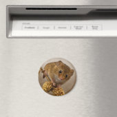 Mousie Magnet (Insitu (Vaatwasser))