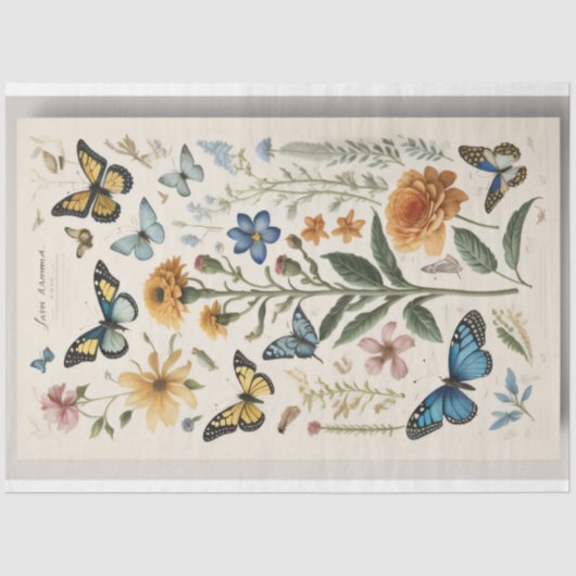 MOUSSELINE PAPIER Zomerbloemen v2 Tissue paper (Voorkant)