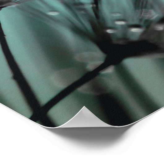 Mousserende dauw Dandelion Aqua Cyan Achtergrond Poster (Hoek)