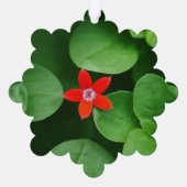 Mousserende diamant en kleine rode bloem ornament kaart (Achterkant)