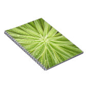 Mousserende druppels voor notebooks notitieboek (Rechterzijde)