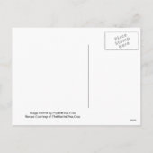 Mousserende granaatappel Martini Recept Po Feestdagenkaart (Achterkant)