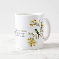 Mousserende kolibrie Jumbo-Mok