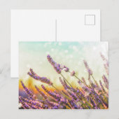 Mousserende lavendel briefkaart (Voorkant / Achterkant)