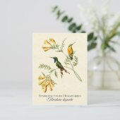Mousserende, op maat gesneden kolibries  kunst briefkaart (Staand voorkant)