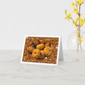 Mousserende Sinaasappels pompoenen en gewervelde b Kaart (Gele Bloem)