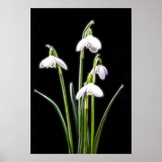 Mousserende sneeuwval afdrukken poster (Voorkant)