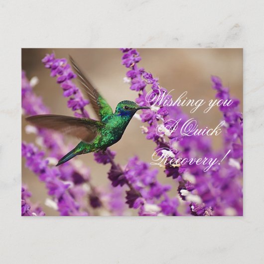 Mousserende vesten briefkaart (Voorkant)