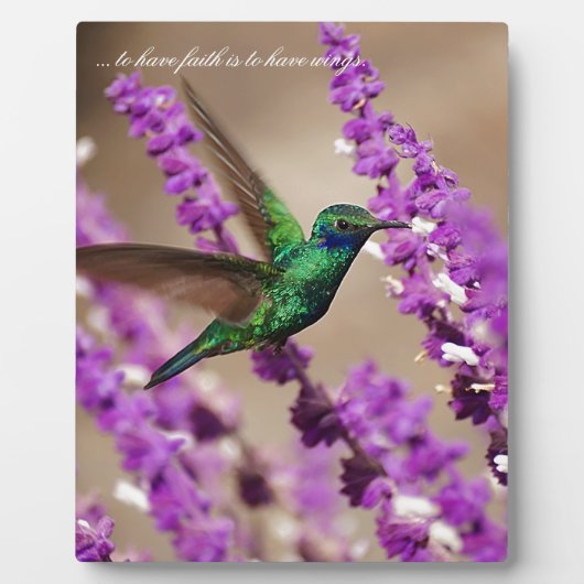 Mousserende vesten fotoplaat (Voorkant)