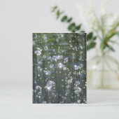 Mousserende waterval briefkaart (Staand voorkant)