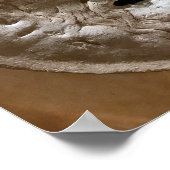 Mouth of Truth Poster (Hoek)