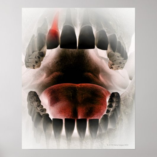 Mouth Poster (Voorkant)