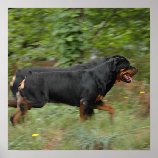 Movin in de tuin poster (Voorkant)