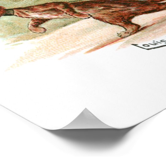 Moving House Louis Wain Poster (Hoek)