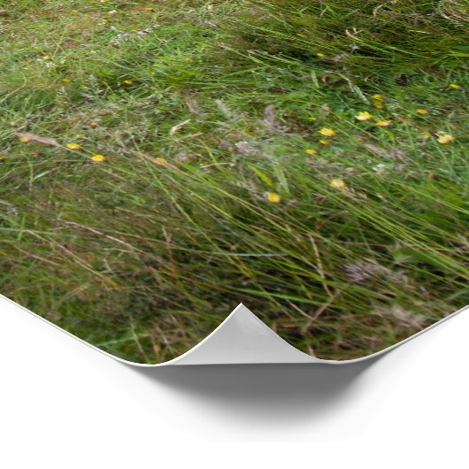 Mow cop poster (Hoek)