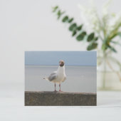 Möwe auf der Mauer an der Nordsee Briefkaart (Staand voorkant)
