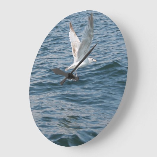 Möwe entführt Zeit Grote Klok (Hoek)