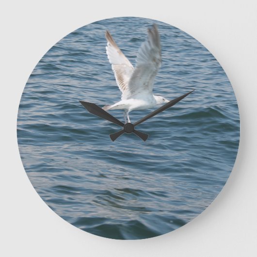 Möwe entführt Zeit Grote Klok (Voorkant)