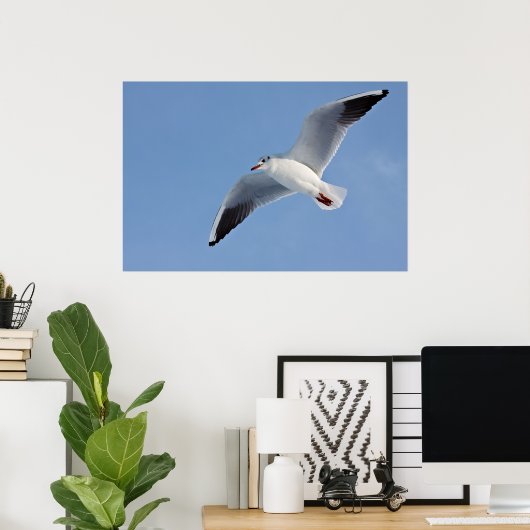 Möwe / Sea gull Poster (Thuiskantoor)